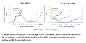Caliper measurements of the average tumor diameters 